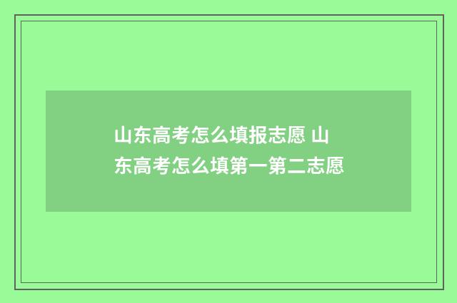 山东高考怎么填报志愿 山东高考怎么填第一第二志愿
