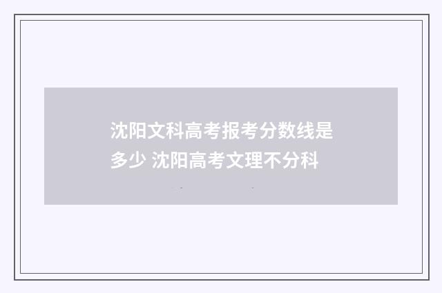 沈阳文科高考报考分数线是多少 沈阳高考文理不分科