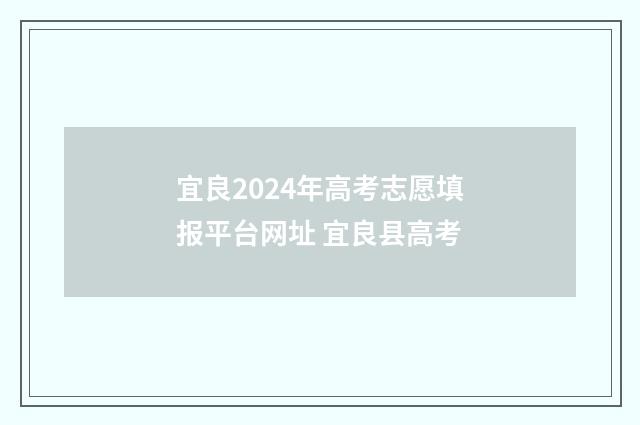 宜良2024年高考志愿填报平台网址 宜良县高考