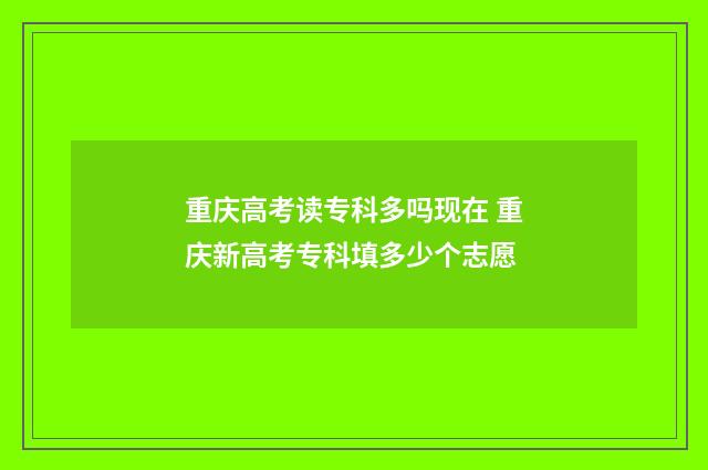 重庆高考读专科多吗现在 重庆新高考专科填多少个志愿