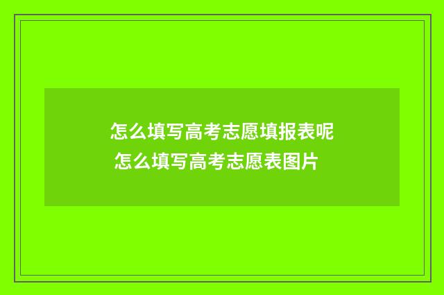 怎么填写高考志愿填报表呢 怎么填写高考志愿表图片