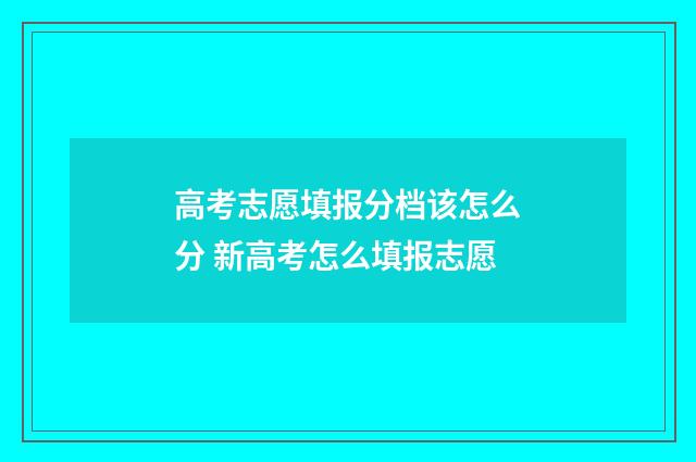 高考志愿填报分档该怎么分 新高考怎么填报志愿