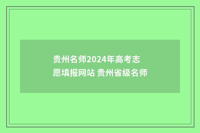 贵州名师2024年高考志愿填报网站 贵州省级名师