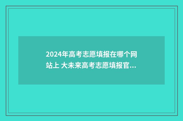 2024年高考志愿填报在哪个网站上 大未来高考志愿填报官网