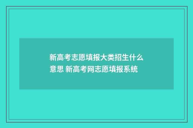 新高考志愿填报大类招生什么意思 新高考网志愿填报系统
