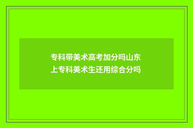 专科带美术高考加分吗山东 上专科美术生还用综合分吗