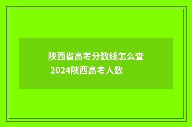 陕西省高考分数线怎么查 2024陕西高考人数