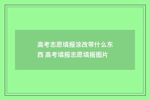 高考志愿填报涂改带什么东西 高考填报志愿填报图片