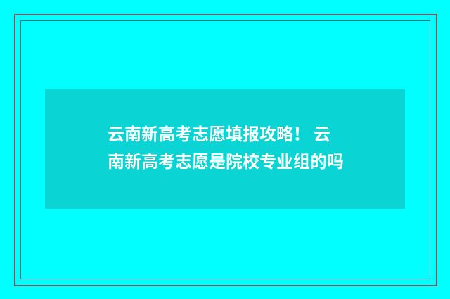 云南新高考志愿填报攻略！ 云南新高考志愿是院校专业组的吗