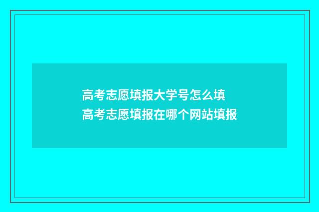 高考志愿填报大学号怎么填 高考志愿填报在哪个网站填报