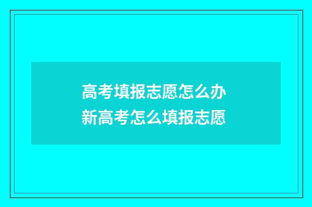 高考填报志愿怎么办 新高考怎么填报志愿