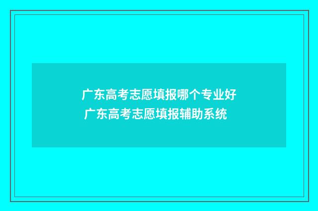 广东高考志愿填报哪个专业好 广东高考志愿填报辅助系统