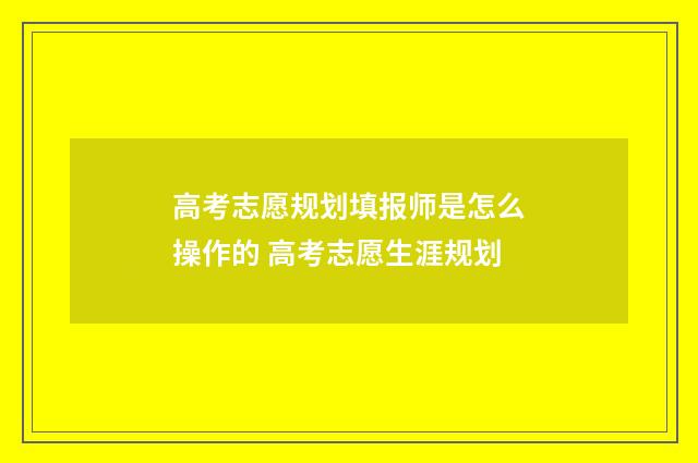 高考志愿规划填报师是怎么操作的 高考志愿生涯规划
