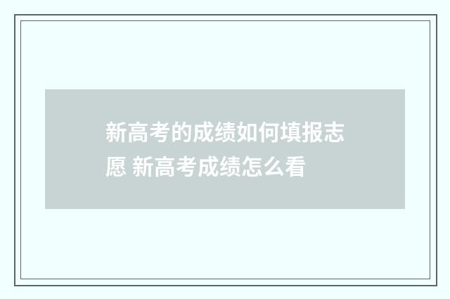 新高考的成绩如何填报志愿 新高考成绩怎么看