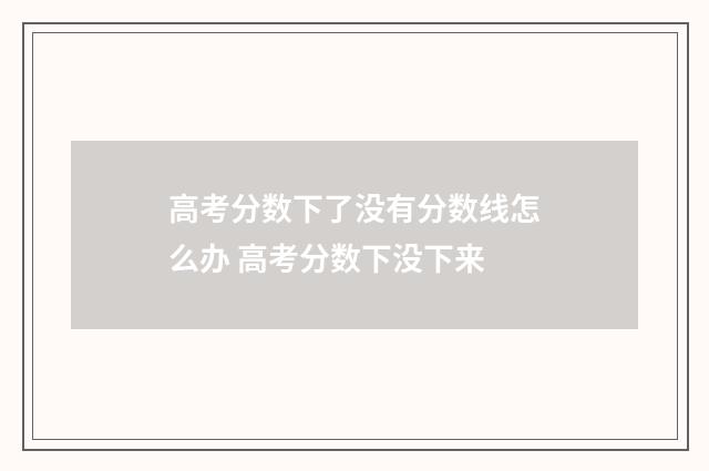 高考分数下了没有分数线怎么办 高考分数下没下来