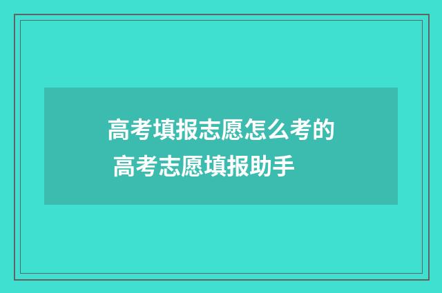 高考填报志愿怎么考的 高考志愿填报助手