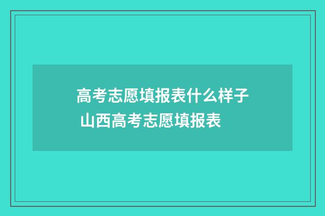 高考志愿填报表什么样子 山西高考志愿填报表