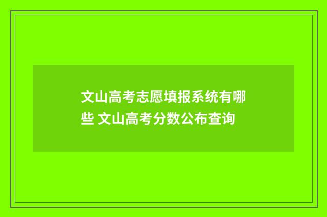 文山高考志愿填报系统有哪些 文山高考分数公布查询