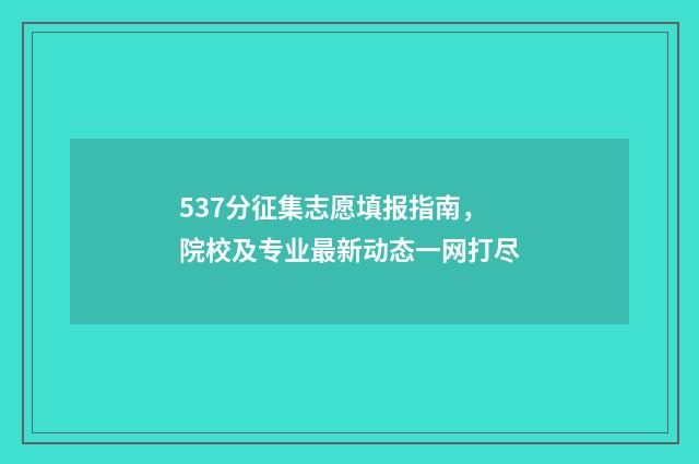 537分征集志愿填报指南,院校及专业最新动态一网打尽
