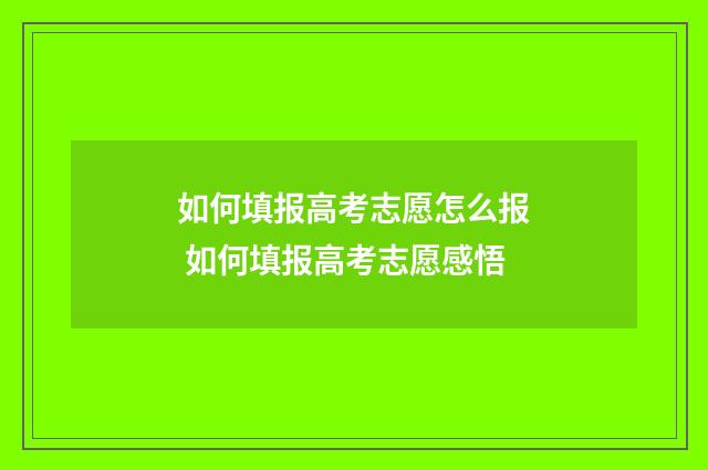 如何填报高考志愿怎么报 如何填报高考志愿感悟