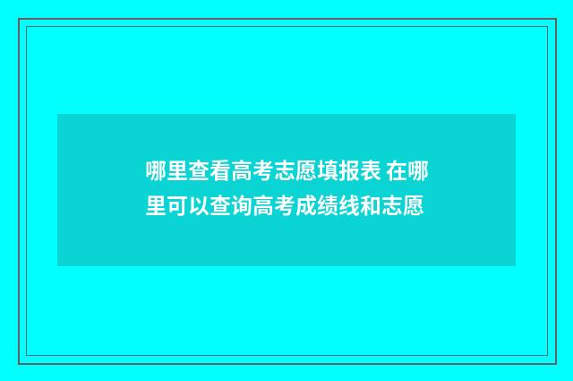 哪里查看高考志愿填报表 在哪里可以查询高考成绩线和志愿