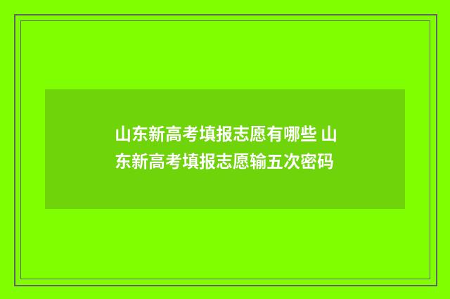 山东新高考填报志愿有哪些 山东新高考填报志愿输五次密码