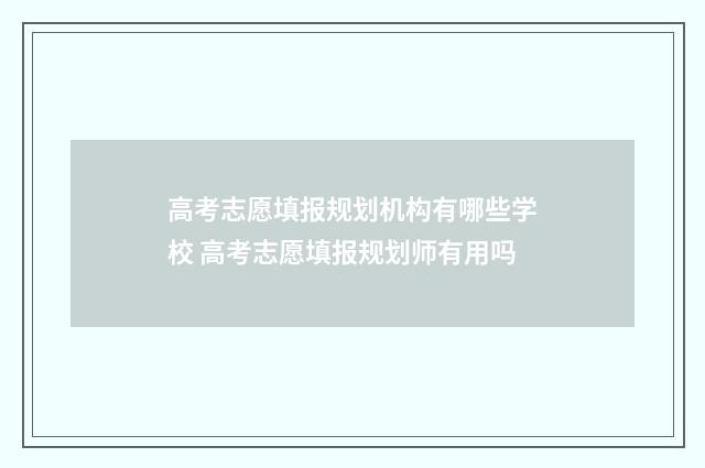 高考志愿填报规划机构有哪些学校 高考志愿填报规划师有用吗