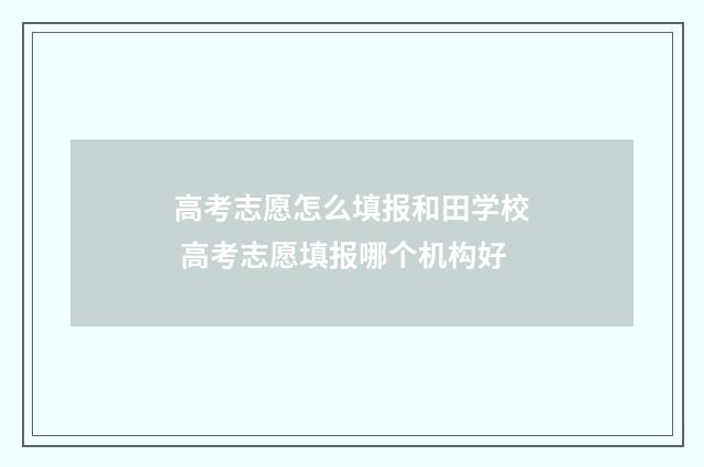 高考志愿怎么填报和田学校 高考志愿填报哪个机构好