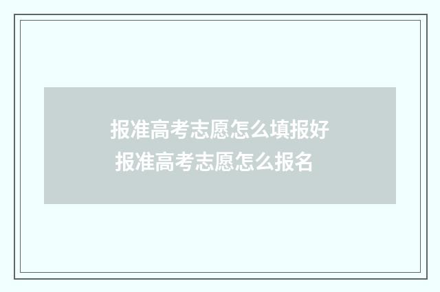 报准高考志愿怎么填报好 报准高考志愿怎么报名