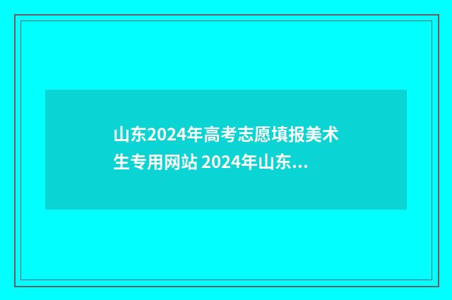 山东2024年高考志愿填报美术生专用网站 2024年山东春季高考招生学校