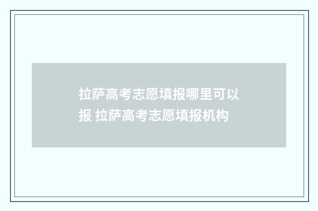 拉萨高考志愿填报哪里可以报 拉萨高考志愿填报机构