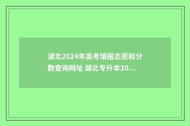 湖北2024年高考填报志愿和分数查询网址 湖北专升本2024年政策