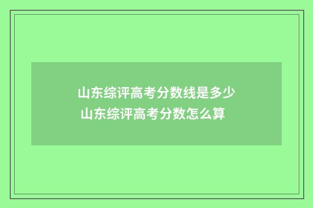 山东综评高考分数线是多少 山东综评高考分数怎么算