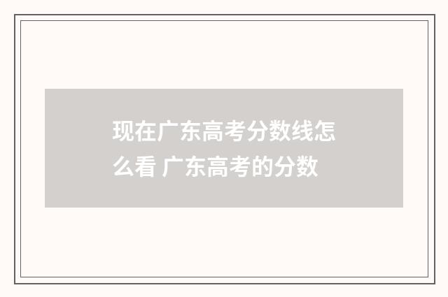 现在广东高考分数线怎么看 广东高考的分数
