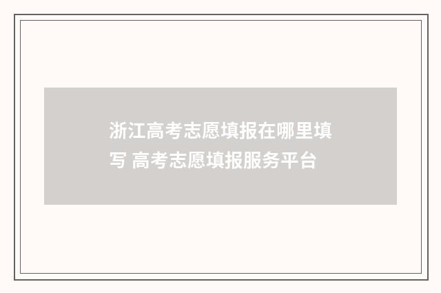 浙江高考志愿填报在哪里填写 高考志愿填报服务平台