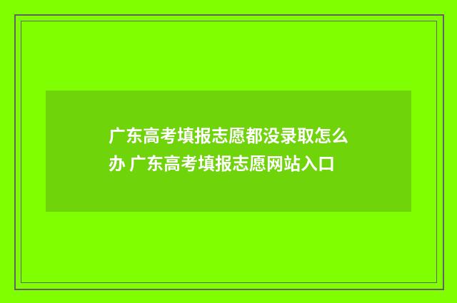 广东高考填报志愿都没录取怎么办 广东高考填报志愿网站入口