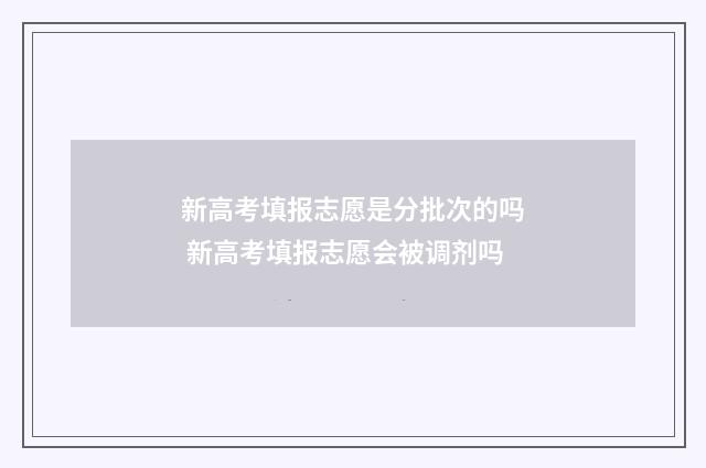 新高考填报志愿是分批次的吗 新高考填报志愿会被调剂吗