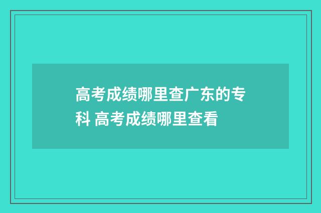 高考成绩哪里查广东的专科 高考成绩哪里查看