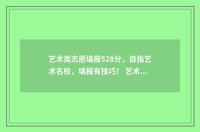 艺术类志愿填报528分,目指艺术名校,填报有技巧! 艺术类志愿填报指南