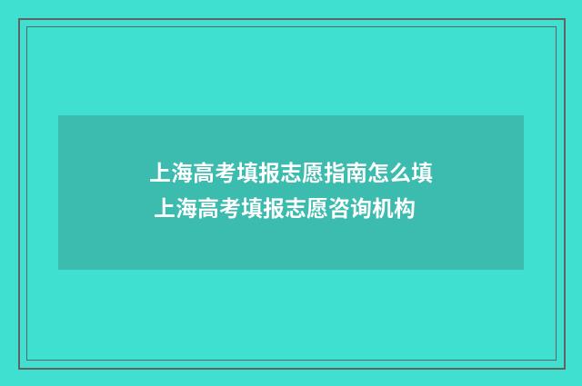 上海高考填报志愿指南怎么填 上海高考填报志愿咨询机构