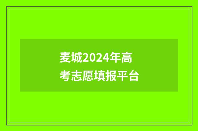 麦城2024年高考志愿填报平台