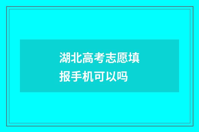 湖北高考志愿填报手机可以吗