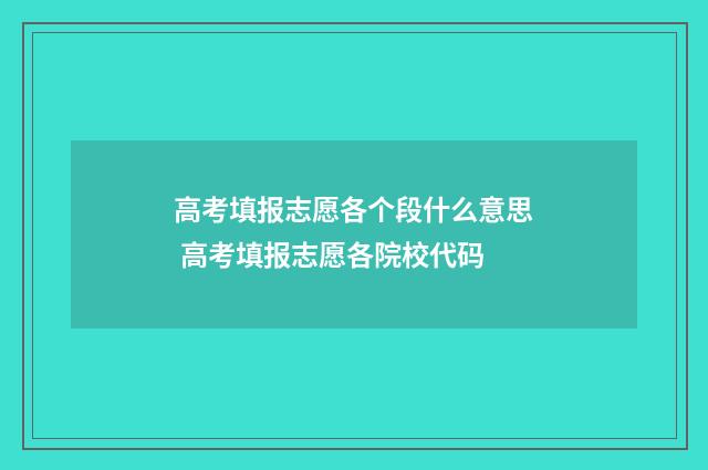 高考填报志愿各个段什么意思 高考填报志愿各院校代码