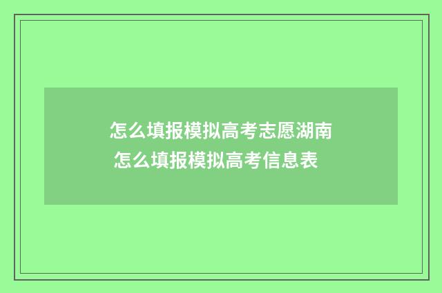 怎么填报模拟高考志愿湖南 怎么填报模拟高考信息表