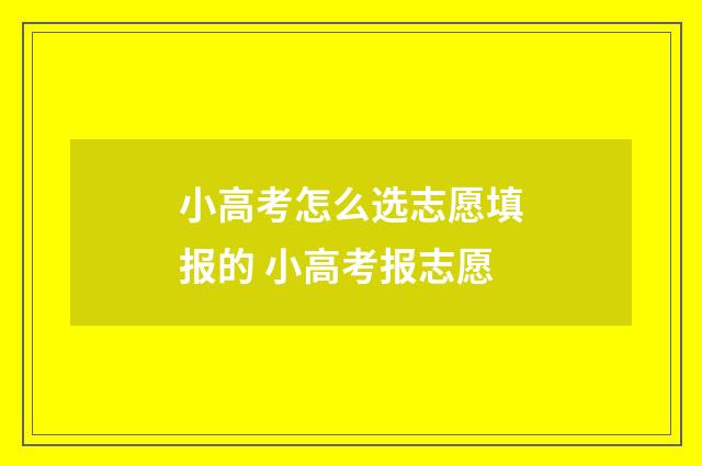 小高考怎么选志愿填报的 小高考报志愿