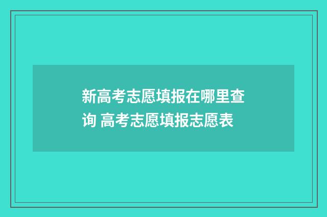 新高考志愿填报在哪里查询 高考志愿填报志愿表