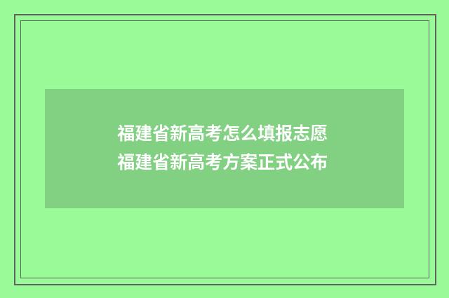 福建省新高考怎么填报志愿 福建省新高考方案正式公布