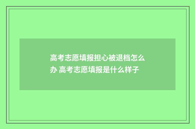 高考志愿填报担心被退档怎么办 高考志愿填报是什么样子