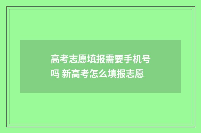 高考志愿填报需要手机号吗 新高考怎么填报志愿