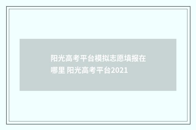 阳光高考平台模拟志愿填报在哪里 阳光高考平台2021